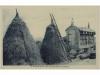 Lot 3289
