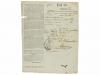 Lote 3016
