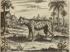 1670. LIBRO. (PRIMERA MISION JESUITA EN CHINA). KIRCHER, ATH