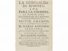 Lote 653