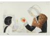Lote 248