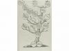 1577. LIBRO. (BRUGALLA-GENEALOGIA). GUDIEL, GERONYMO:. COMPE