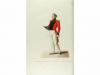 1853. LIBRO. (ORDENES CABALLERIA). GIACCHIERI, PIETRO:. COMM