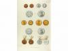 1853. LIBRO. (ORDENES CABALLERIA). GIACCHIERI, PIETRO:. COMM