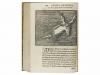 1746. LIBRO. (BRUGALLA-MALLORCA). MALLORCA, CAYRTANO DE :. L