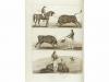 1829. LIBRO. (VIAJES-MONTSERRAT- ESPAÑA-AFRICA). BURCKHARDT,