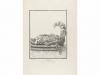 1806. GRABADO. (CHINA). SONNERAT, M.:. COLLECTION DE PLANCHE