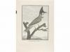 1806. GRABADO. (CHINA). SONNERAT, M.:. COLLECTION DE PLANCHE