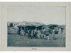 Lote 3167