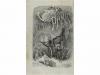 ca. 1860. REVISTA. (SOCIEDAD-PARIS). LABÉDOLLIÈRE, ÉMILE:. L