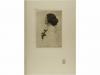 1905. LIBRO. (FOTOGRAFIA). HOLME, CHARLES (EDITOR):. ART IN 