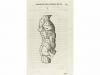 1763. LIBRO. (ARQUITECTURA). ARPHE Y VILLAFAÑE, JUAN:. VARIA