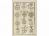 1855. LIBRO. (HERALDICA). ASENSI TORRES, J:. TRATADO DE HERA