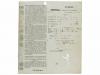 Lote 2561