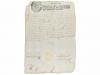 Lote 246