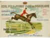 Lot 799