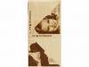Lot 390
