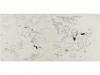 Lot 646
