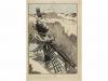 Lot 594