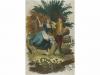 Lote 491