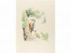 1945. LIBRO. (BIBLIOFILIA). VERDAGUER, JACINT:. QUÈ DIUEN EL