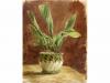 1900. ORIGINAL ARTÍSTICO. TEIXIDO, EMILI?:. CONJUNTO DE TRES