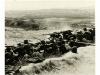 1938 ca. FOTOGRAFÍA. (GUERRA CIVIL). CONJUNTO DE 38 FOTOGRAF