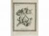 1845. LIBRO. (GIMNASIA). MERCURIAL, JERONIMO:. ARTE JIMNASTI