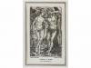Lote 492