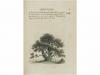 1797. LIBRO. (VIAJES-CHINA). STAUNTON, GEORGE THOMAS (EARL O