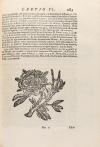 1688. LIBRO. (HUMANIDADES). CAIETANI, THOMAE A VIO:. METAPHY