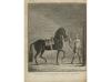 1754. LIBRO. (EQUITACIÓN). BOURGELAT; BERENGER, RICHARD [tra