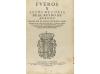 Lote 60