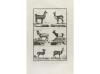 1806. LIBRO. (HUMANIDADES). ARFE Y VILLAFAÑE, JUAN DE:. VARI