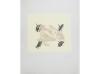 1978. LIBRO. (ARTE-BIBLIOFILIA). PAZ, OCTAVIO; TÀPIES, ANTON