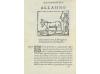 1599. LIBRO. (LITERATURA-SÁTIRA). SCALIGERI DALLA FRATTA, CA