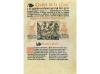 Lote 129