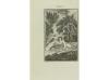 1799. LIBRO. (LITERATURA SICALÍPTICA). PEZAI, M. DE:. OEUVRE