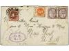 Lote 3194