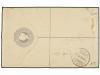 ✉ SAN VICENTE. 1895. KINGSTOWN to SWITZERLAND. 2 d. grey reg