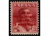 Lote 1627