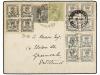 Lote 342