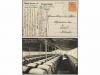 Lote 1149