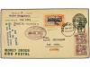 Lote 1893