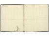 ✉ PERU. Sc. 14. 1869. PUNO a AREQUIPA.1 dinero verde, mat. l