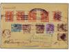 Lot 1310