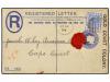 Lote 1105