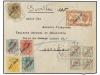 Lot 1135