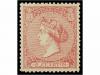 Lot 219