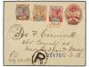 Lot 456